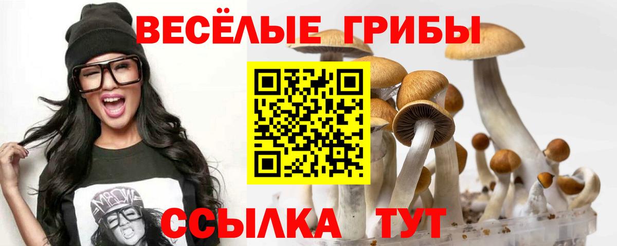 Псилоцибиновые грибы Magic Shrooms Верхний Уфалей